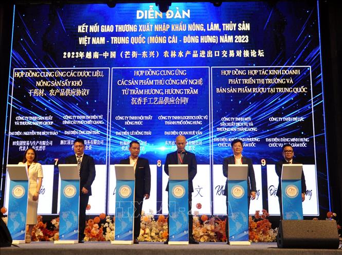 Tin tức & Giá trị cốt lõi